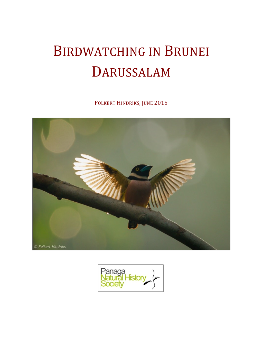 Birdwatching in Brunei Darussalam