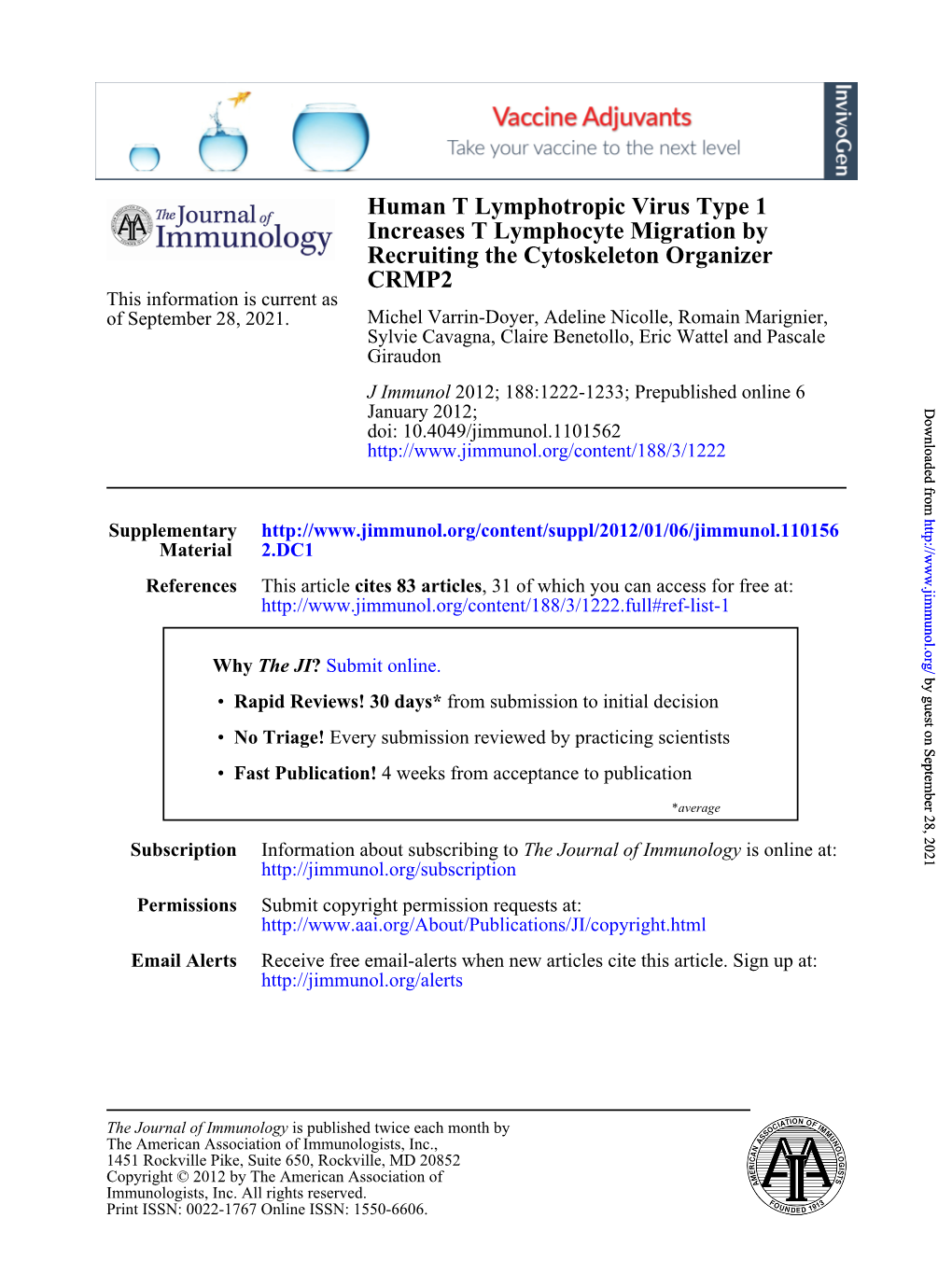 CRMP2 Recruiting the Cytoskeleton Organizer Increases T Lymphocyte