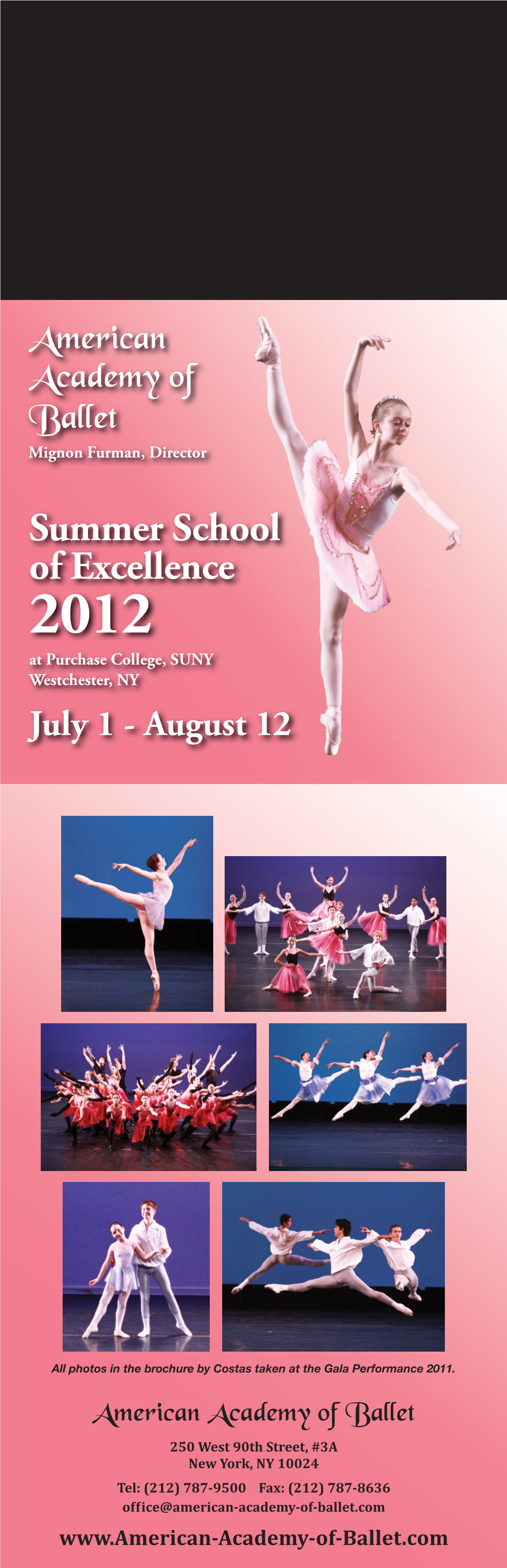 Summer School of Excellence 2012 at Purchase College, SUNY Westchester, NY July 1 - August 12