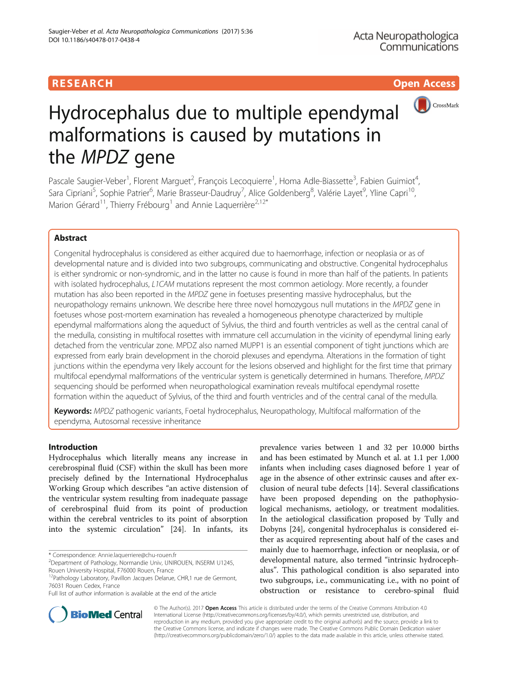 Hydrocephalus Due to Multiple Ependymal Malformations Is