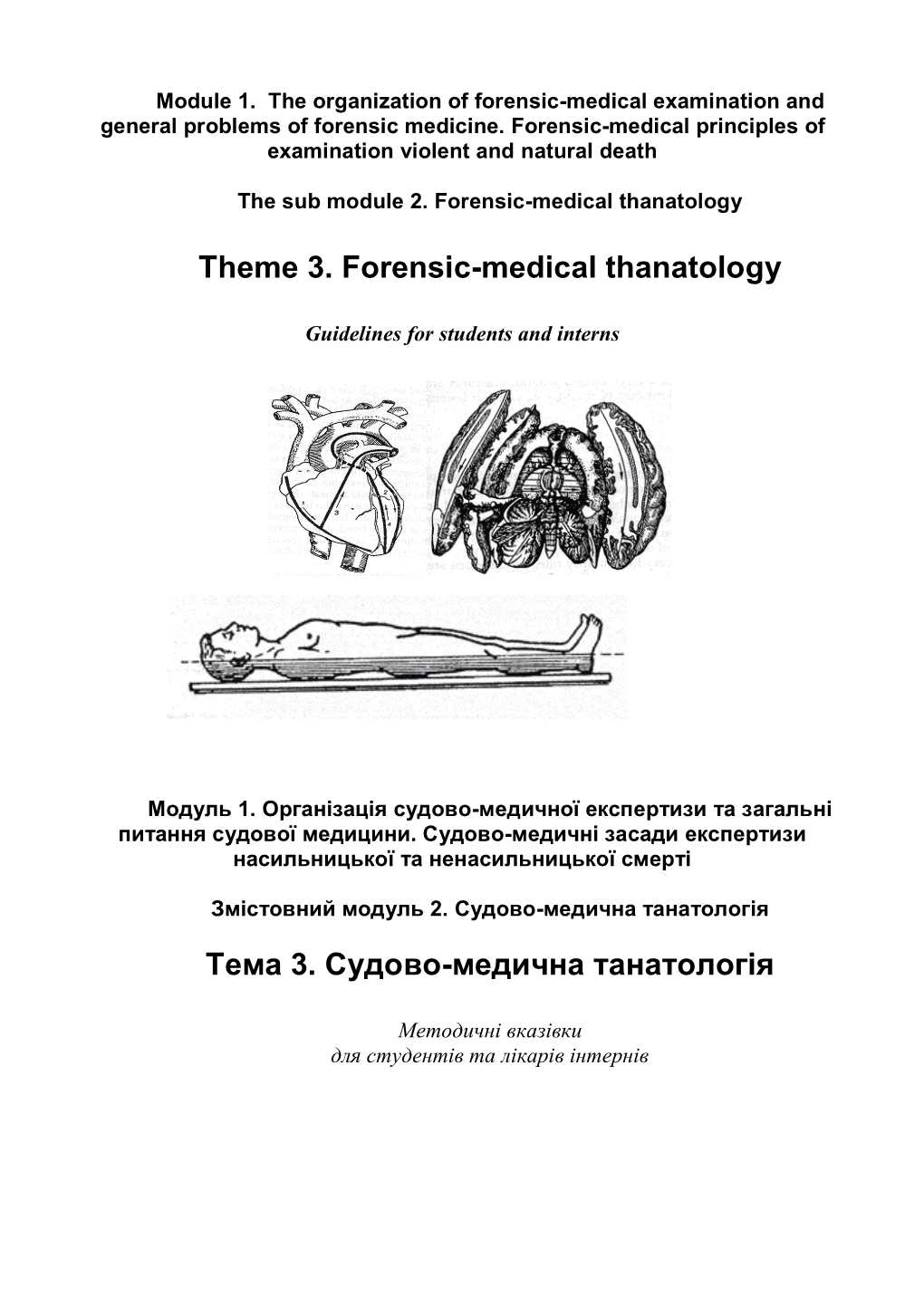 Theme 3. Forensic-Medical Thanatology