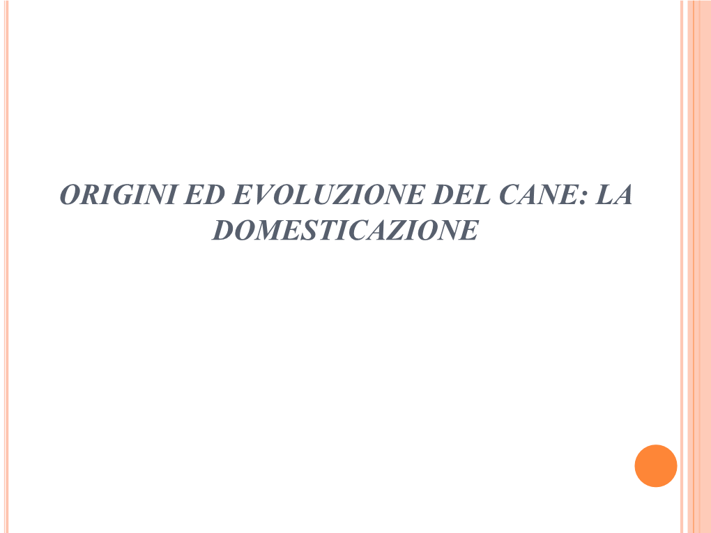 Origini Ed Evoluzione Del Cane: La Domesticazione Zoologia Canidi