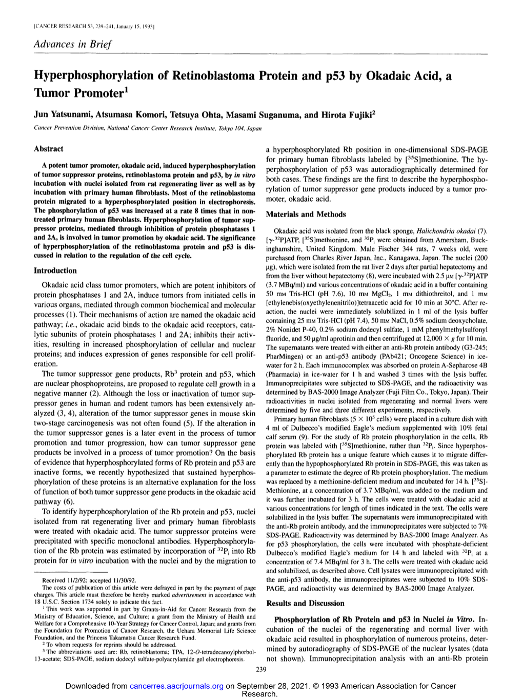 Hyperphosphorylation of Retinoblastoma Protein and P53 by Okadaic Acid, a Tumor Promoter