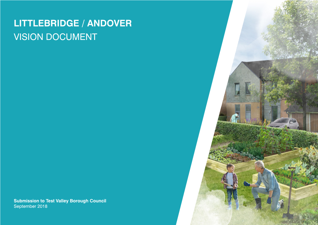 Littlebridge / Andover Vision Document