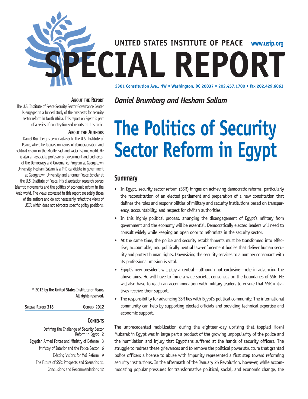 The Politics of Security Sector Reform in Egypt