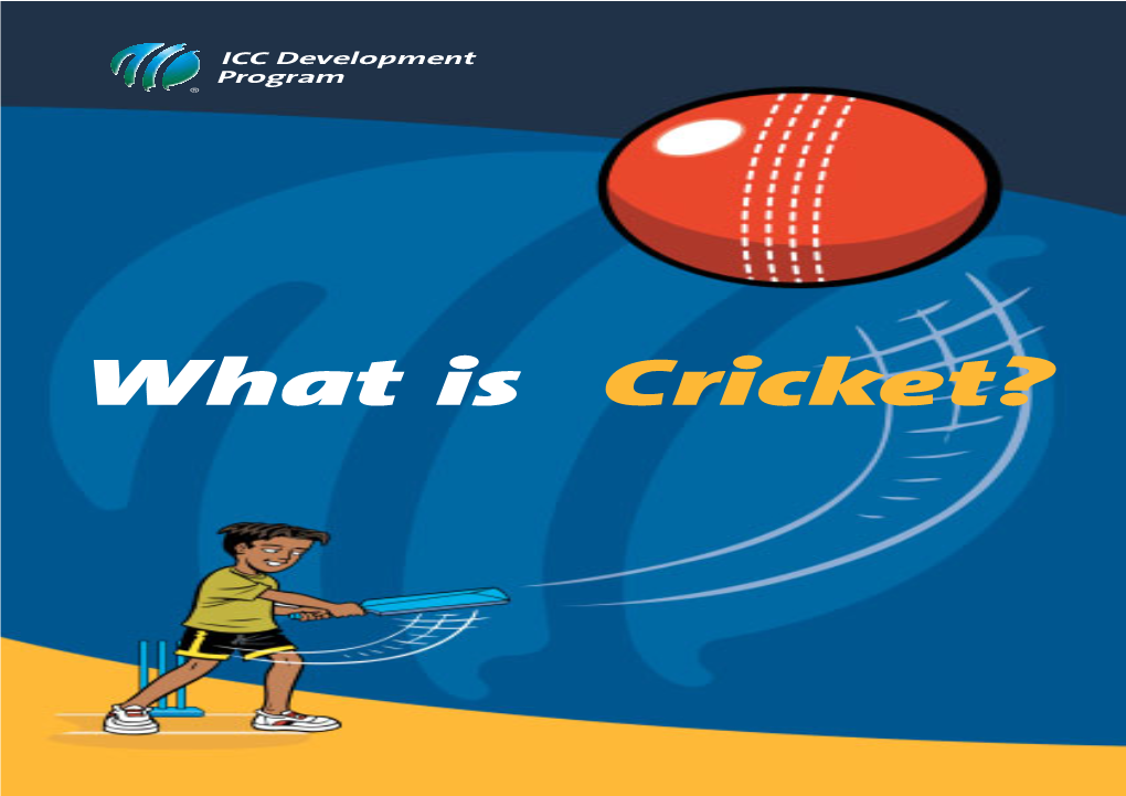 What Is Cricket Eng Web 22/8/06 11:27 Am Page 1