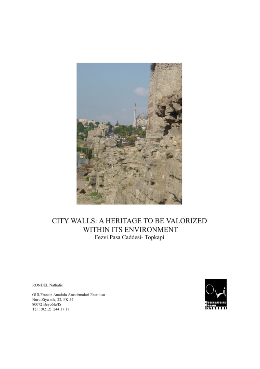 City Walls of Istanbul Achieved in Summer 2005 While Doing an Internship at Fransiz Anadolu Arastirmalari Enstitusu)