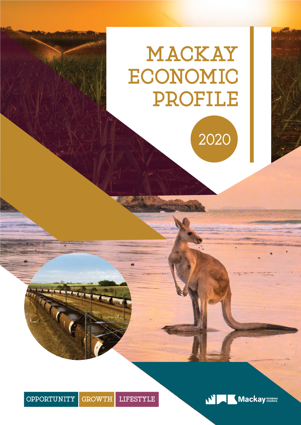 Economic Profile 2020