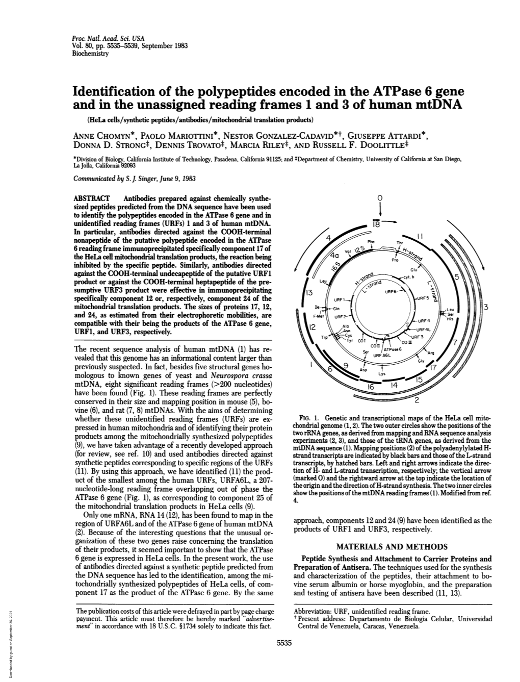 Identification of the Polypeptides Encoded in the Atpase 6 Gene And