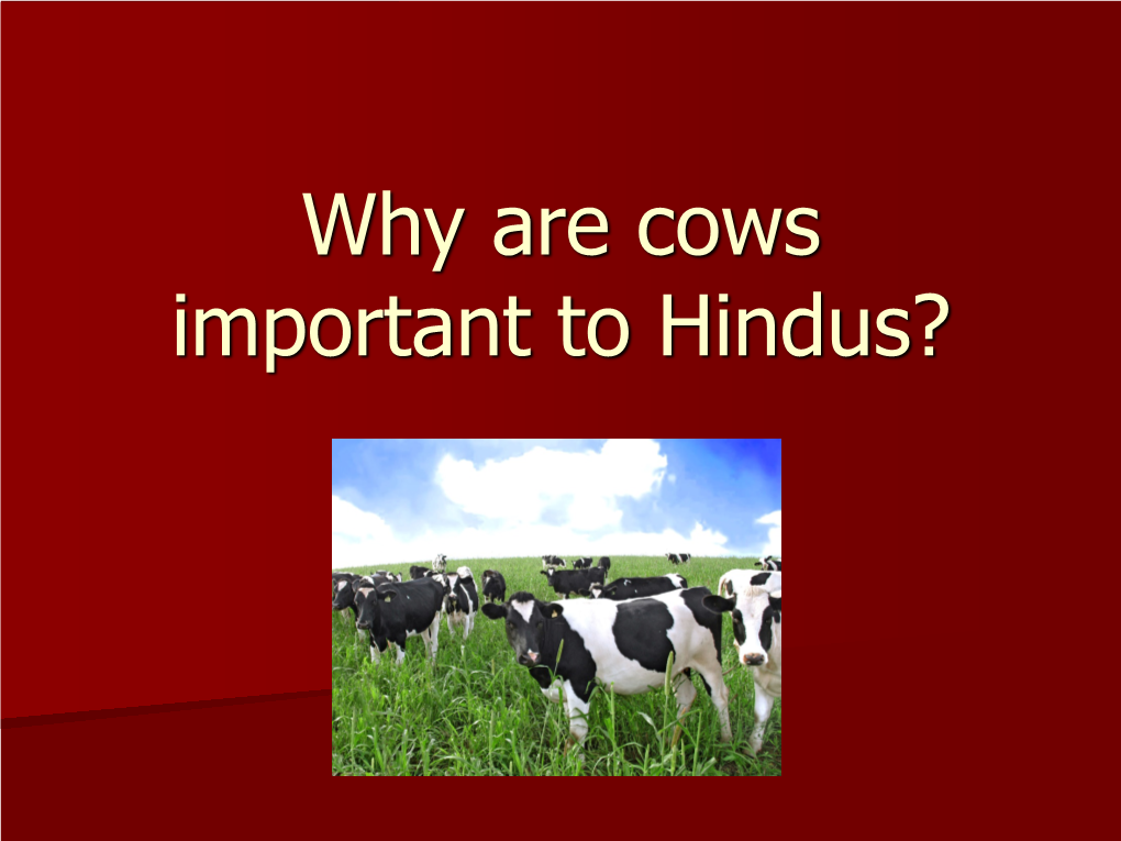 Why Are Cows Important to Hindus? LI: to Know Why Cows Are Sacred (Important) to Hindus