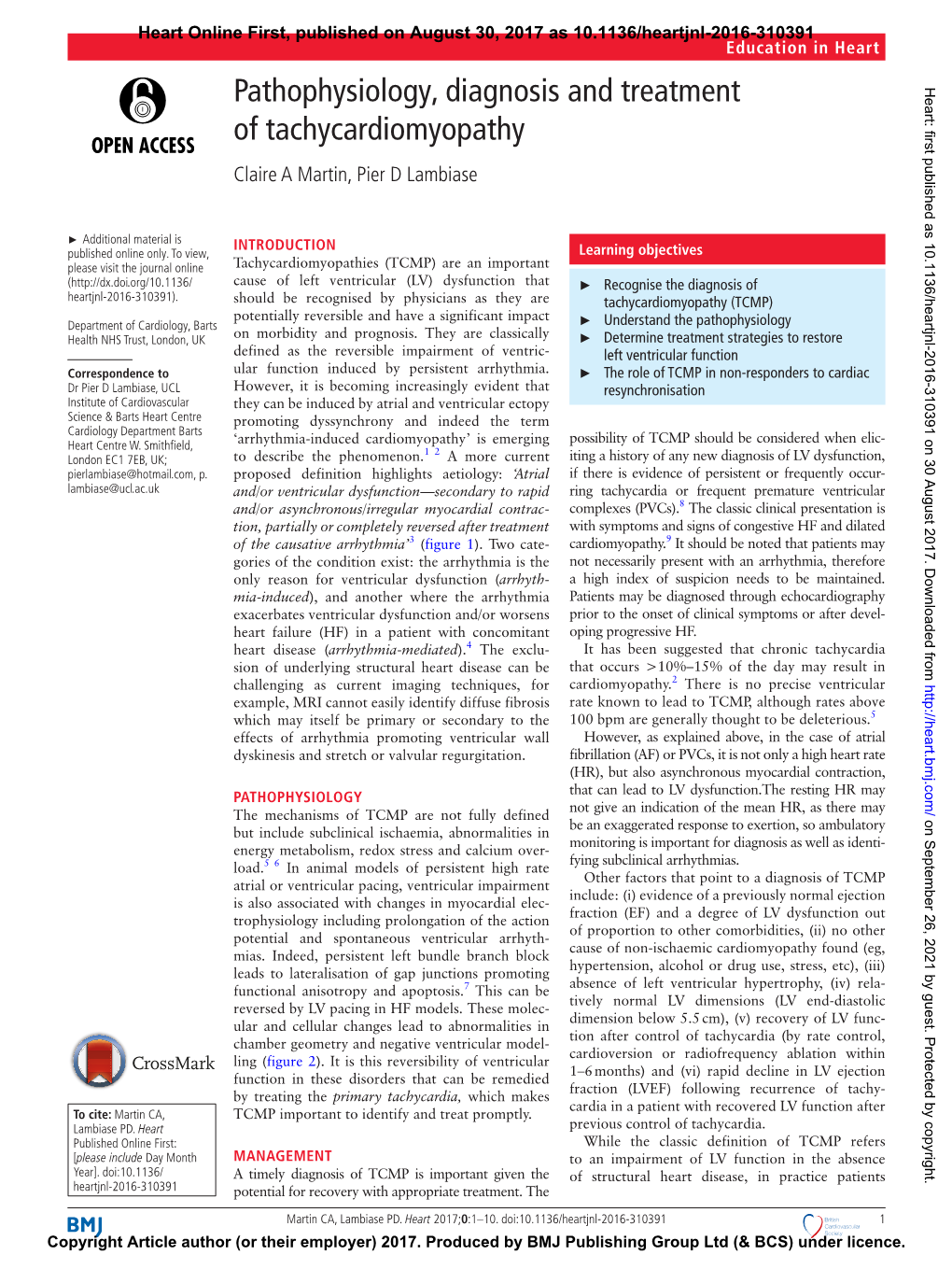 Pathophysiology, Diagnosis and Treatment of Tachycardiomyopathy