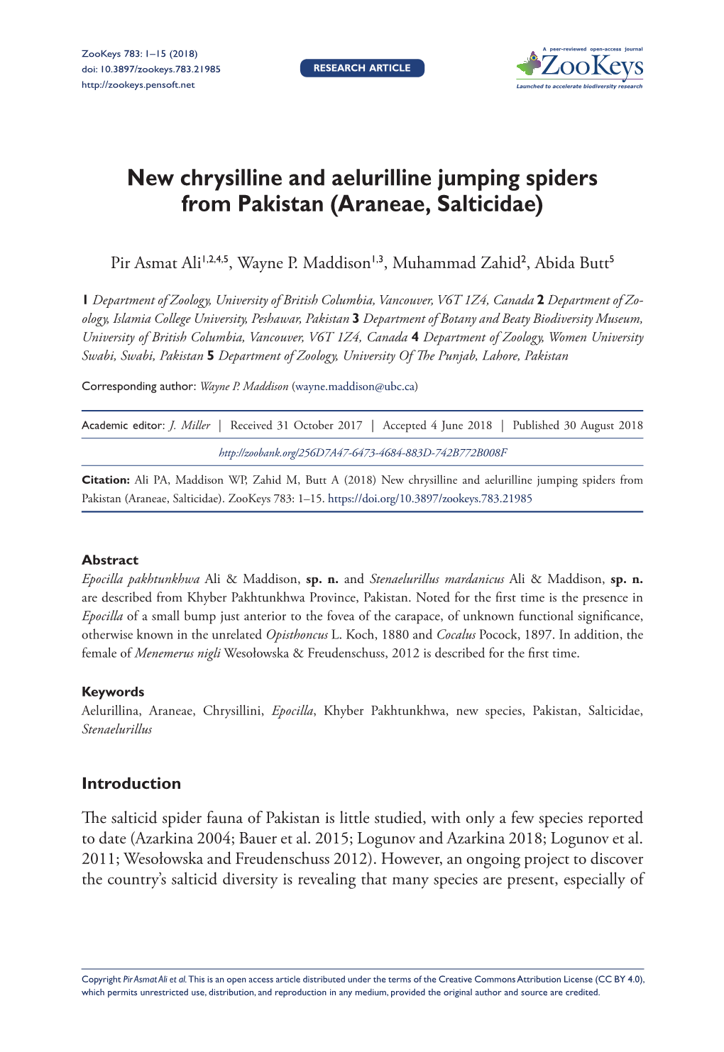 New Chrysilline and Aelurilline Jumping Spiders from Pakistan (Araneae, Salticidae)