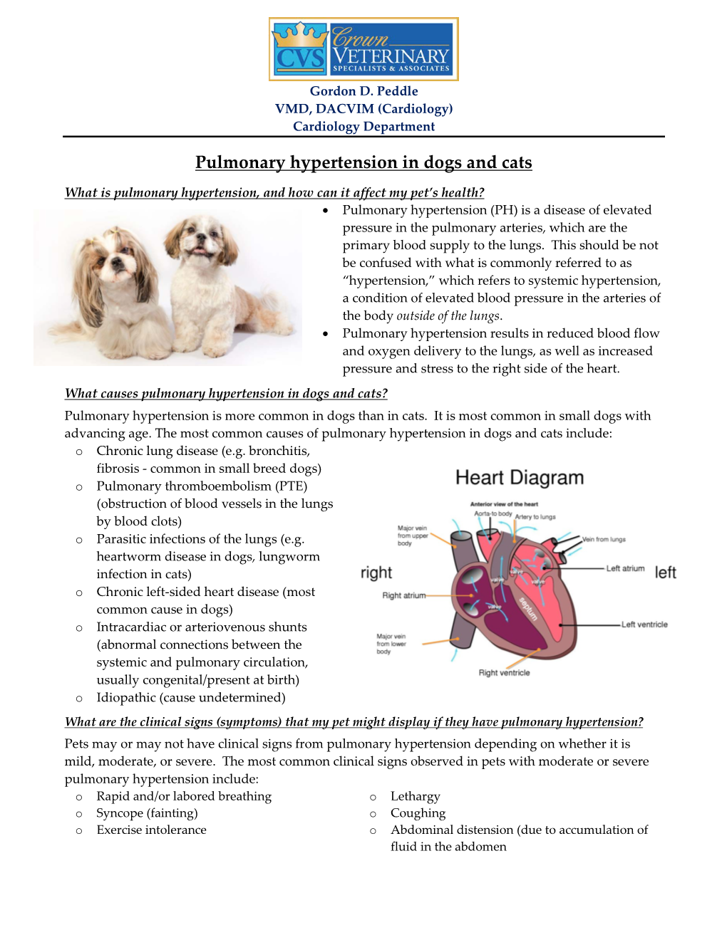 Pulmonary Hypertension in Dogs and Cats