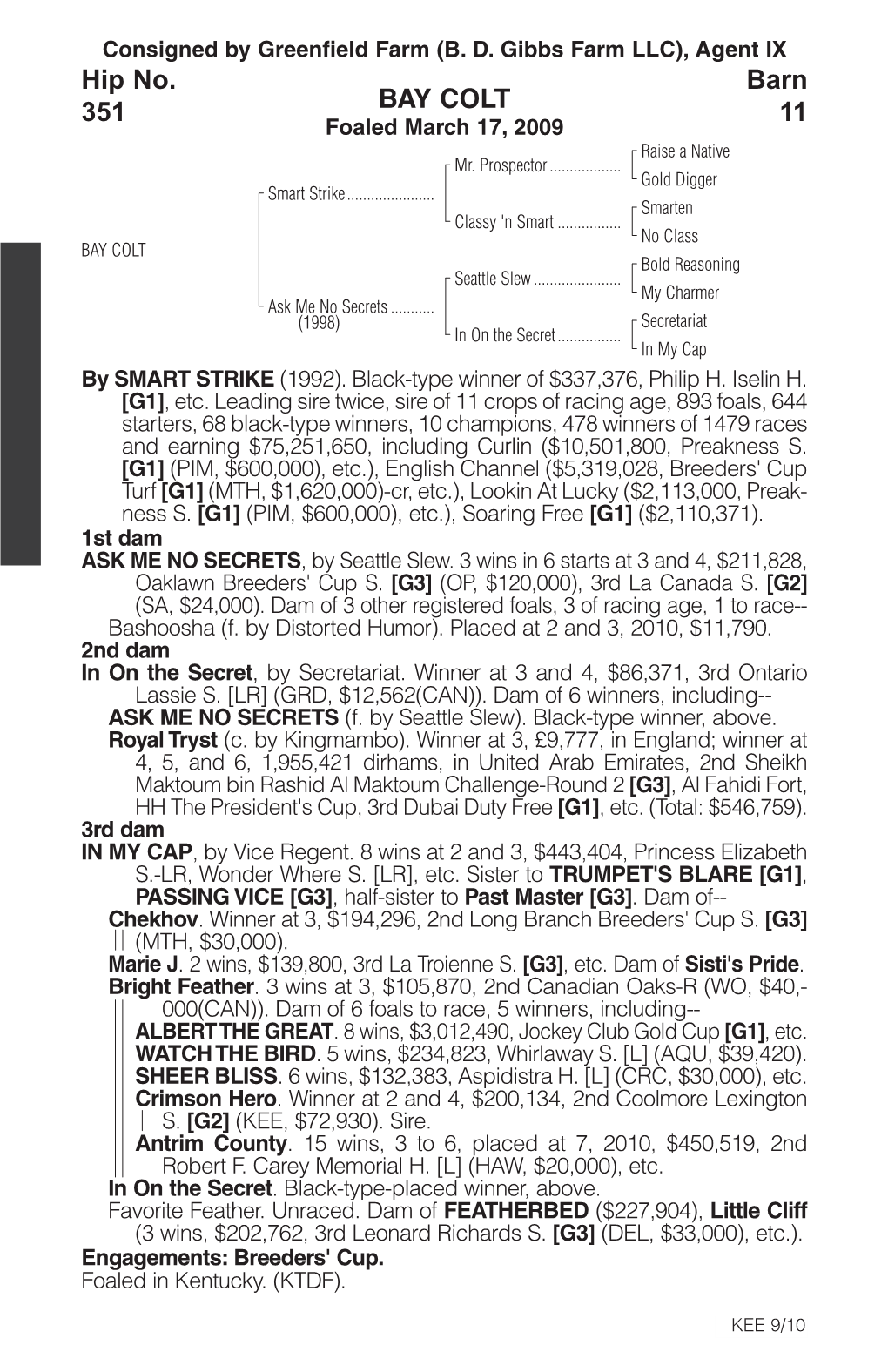 BAY COLT Barn 11 Hip No