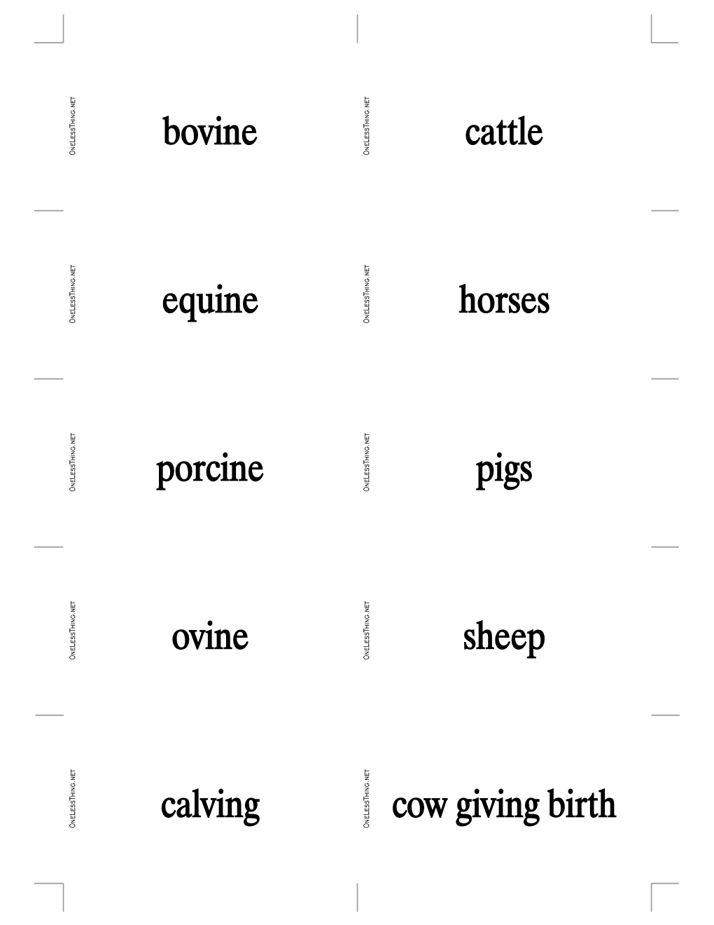 Bovine Cattle Equine Horses Porcine Pigs Ovine Sheep Calving Cow Giving Birth