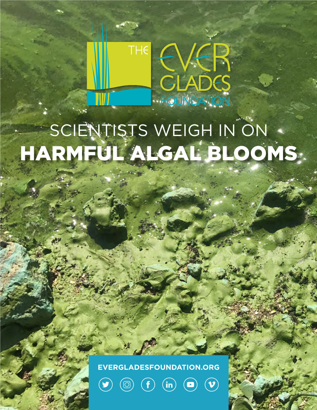 Harmful Algal Blooms