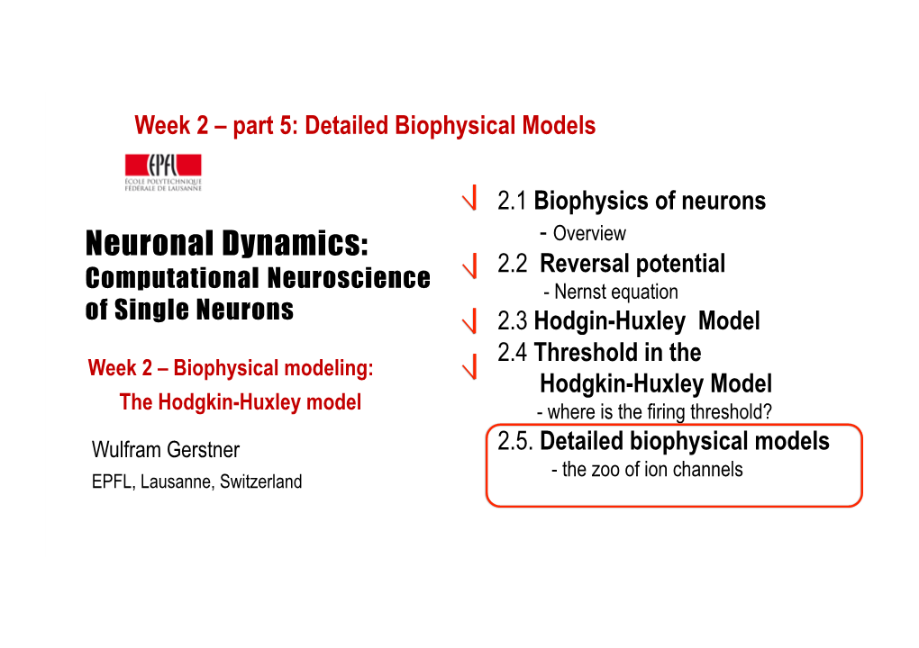 Neuronal Dynamics