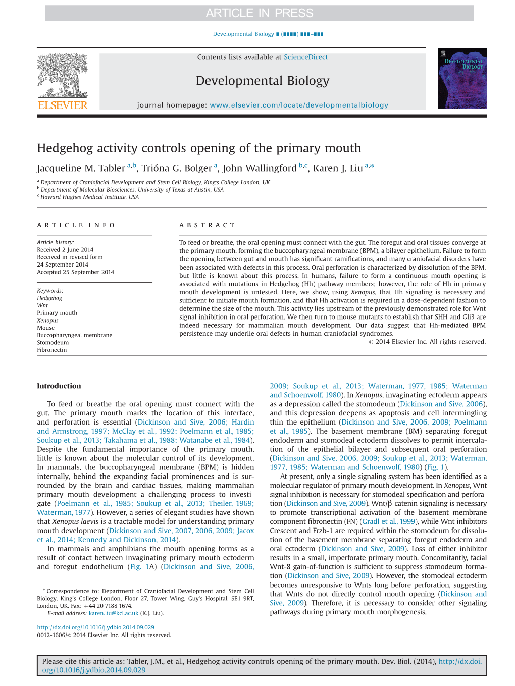 Hedgehog Activity Controls Opening of the Primary Mouth