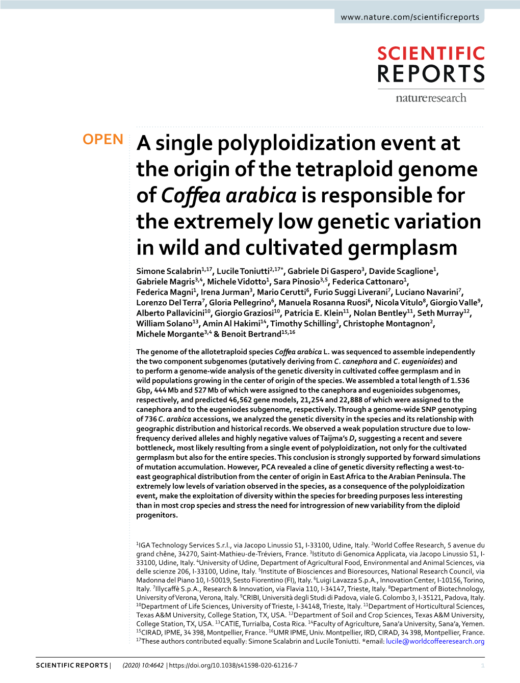 A Single Polyploidization Event at the Origin of the Tetraploid Genome Of