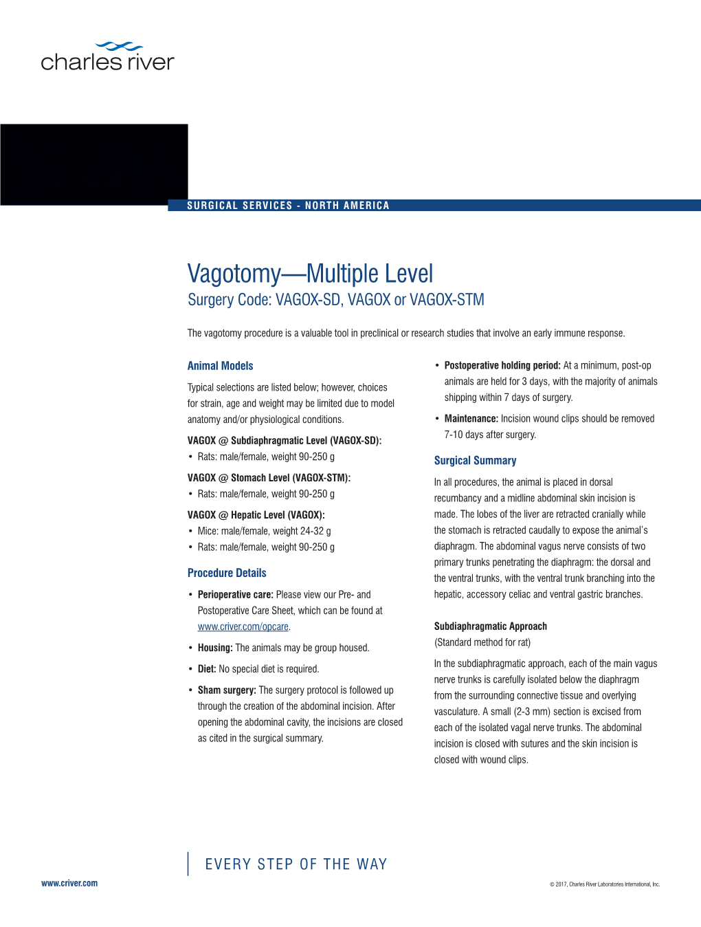 Vagotomy Procedures in Mice and Rats