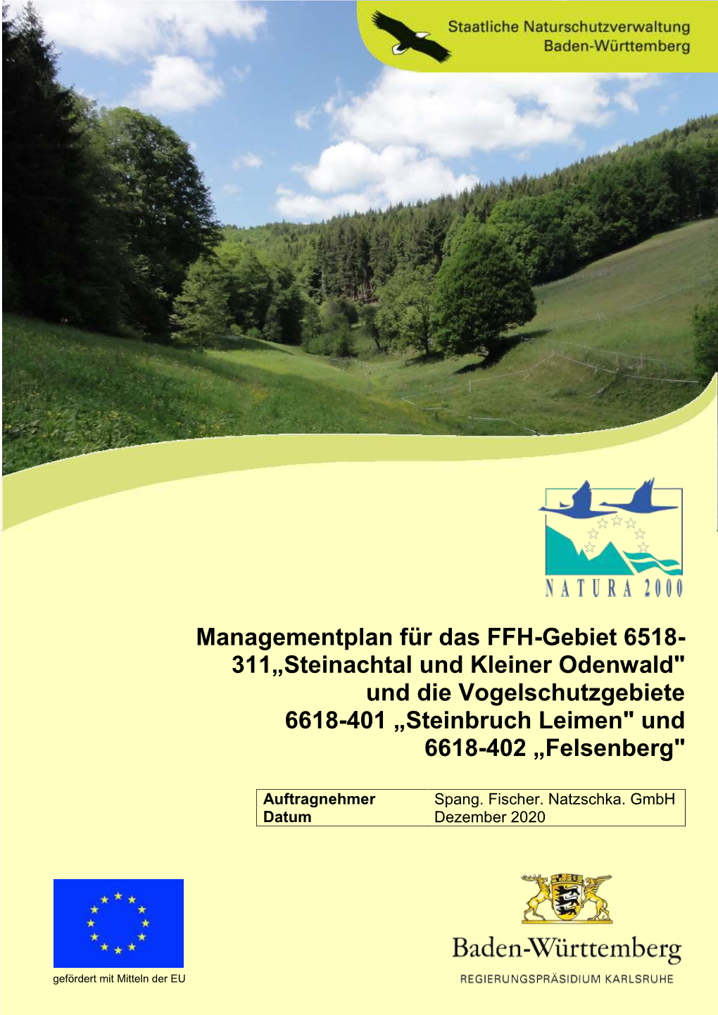 Managementplan Für Das FFH-Gebiet 6518- 311„Steinachtal Und Kleiner Odenwald" Und Die Vogelschutzgebiete 6618-401 „Steinbruch Leimen" Und 6618-402 „Felsenberg"