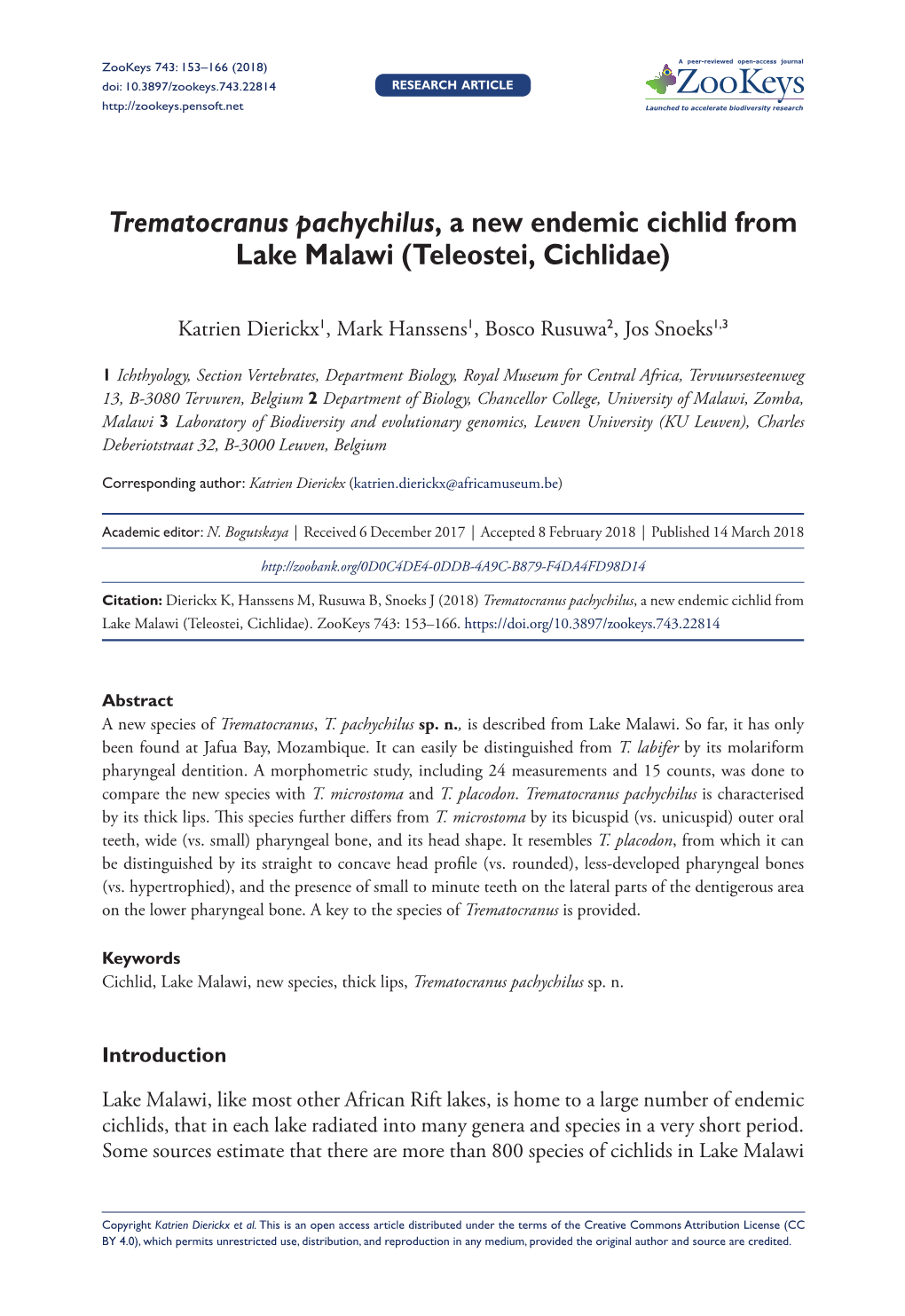 Trematocranus Pachychilus, a New Endemic Cichlid from Lake Malawi (Teleostei, Cichlidae)