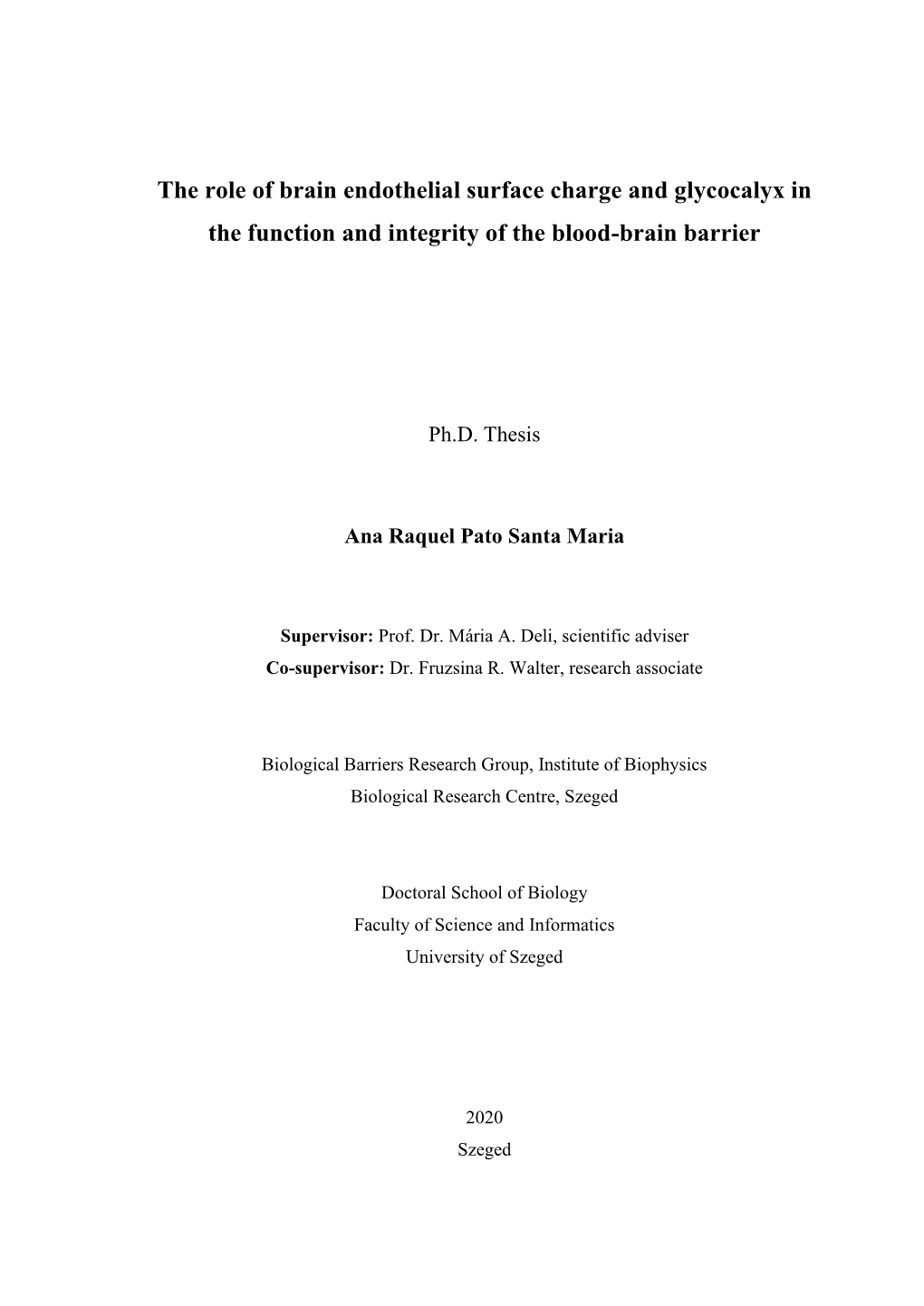 Lidocaine Turns the Surface Charge of Biological Membranes More Positive and Changes the Permeability of Blood-Brain Barrier Culture Models