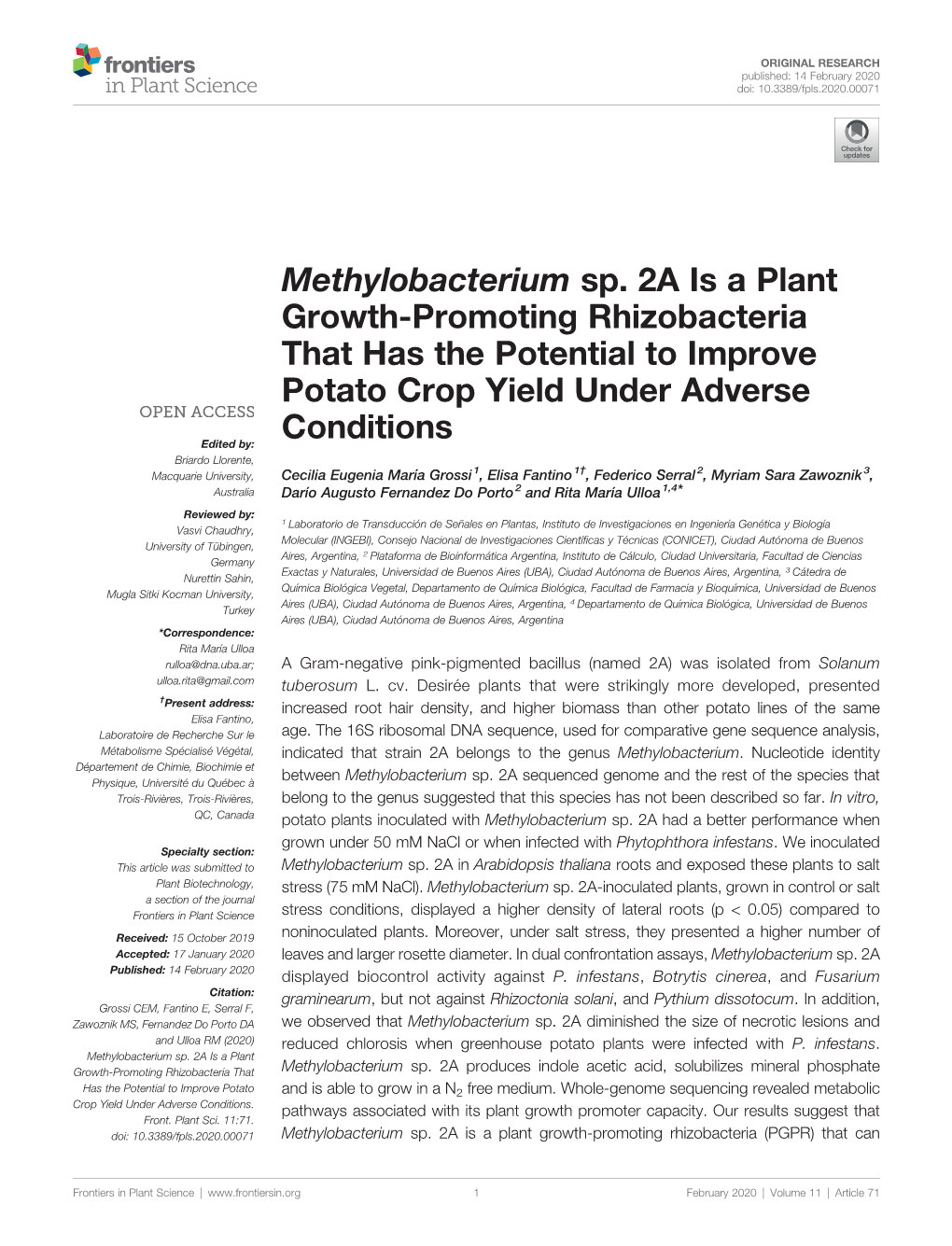 Methylobacterium Sp. 2A Is a Plant Growth-Promoting Rhizobacteria That Has the Potential to Improve Potato Crop Yield Under Adverse