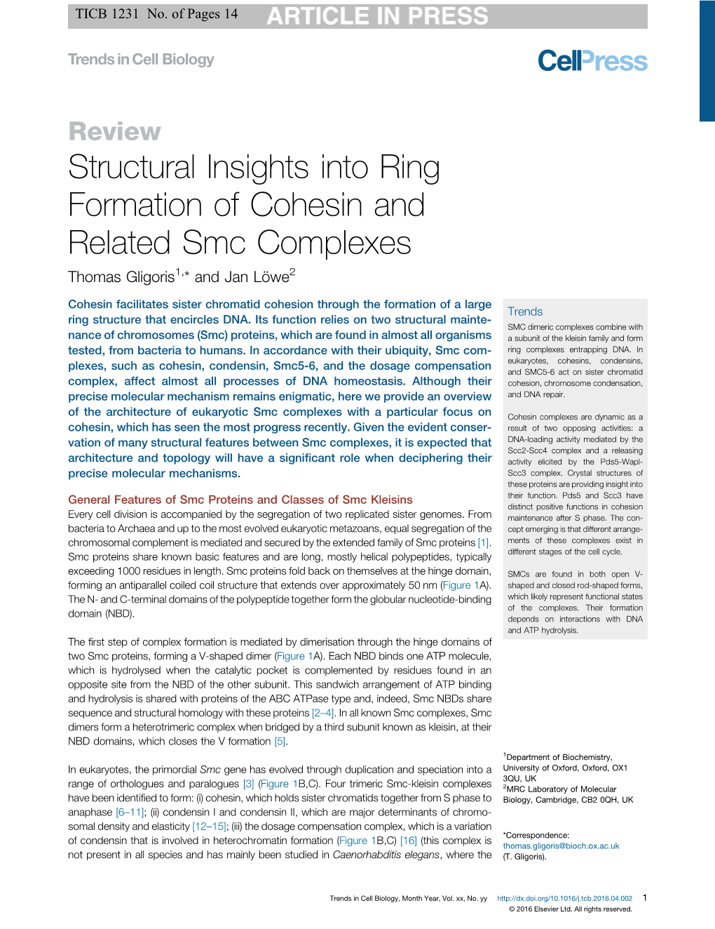 Structural Insights Into Ring Formation of Cohesin and Related Smc Complexes Thomas Gligoris1,* and Jan Löwe2