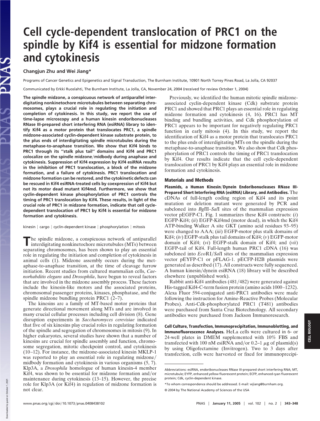 Cell Cycle-Dependent Translocation of PRC1 on the Spindle by Kif4 Is Essential for Midzone Formation and Cytokinesis