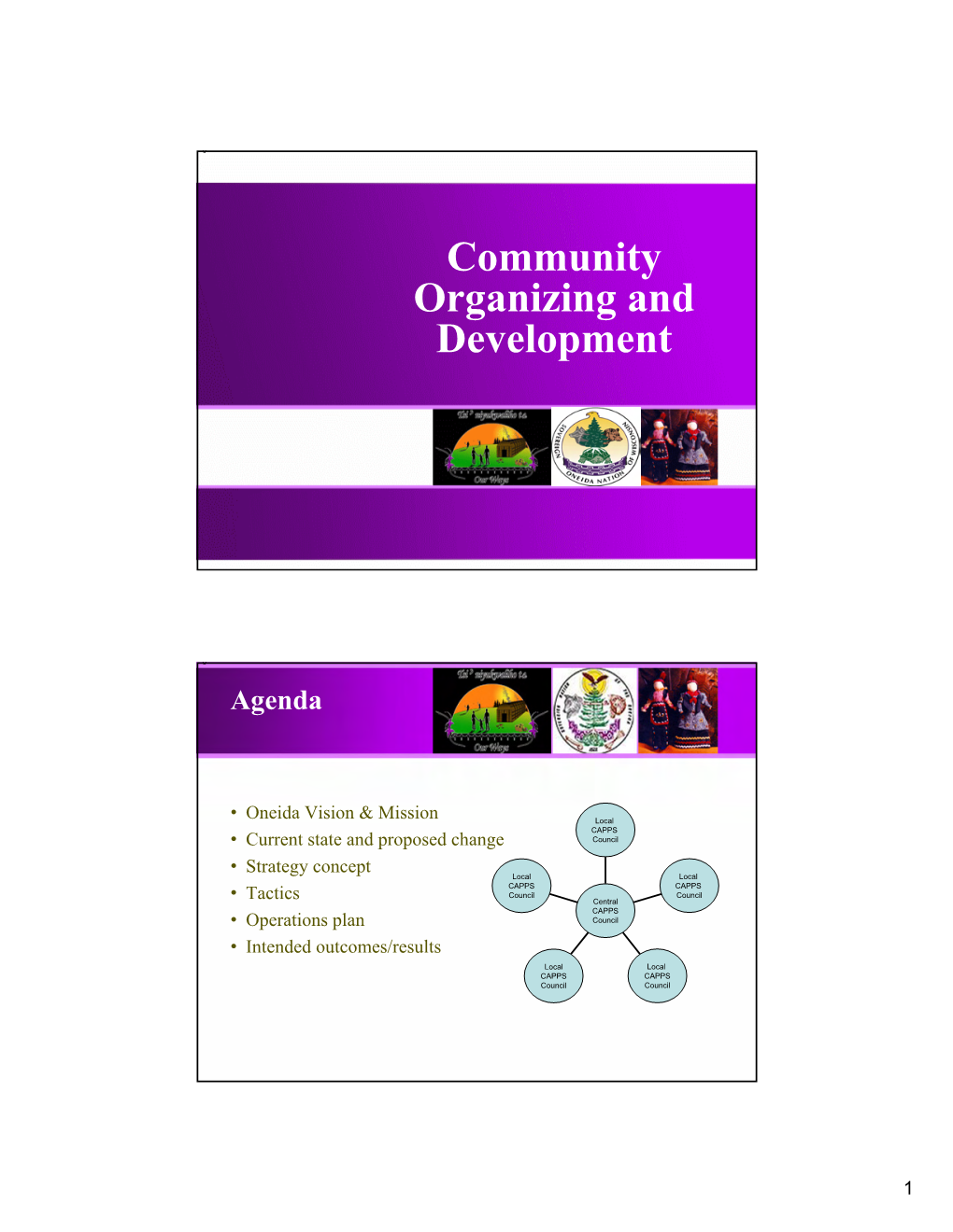 Community Organizing and Development