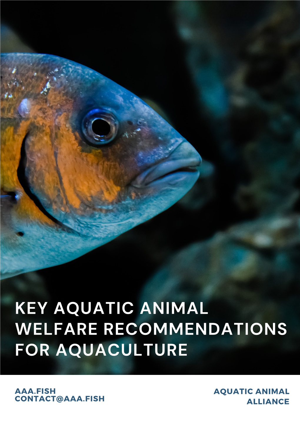 Copy of Key Aquatic Animal Welfare Recommendations for Aquaculture