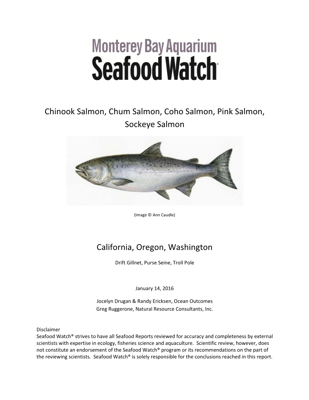 Chinook Salmon, Chum Salmon, Coho Salmon, Pink Salmon, Sockeye Salmon