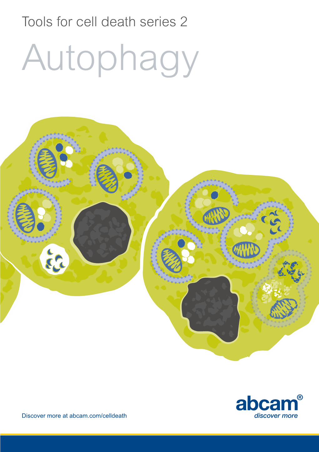 Tools for Cell Death Series 2 Autophagy