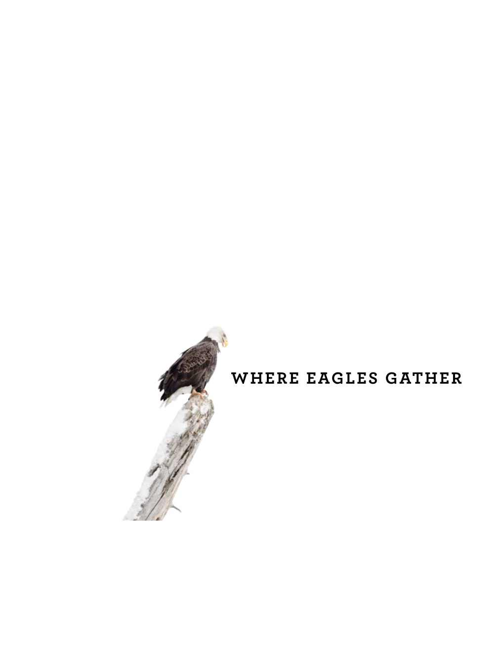 Where Eagles Gather