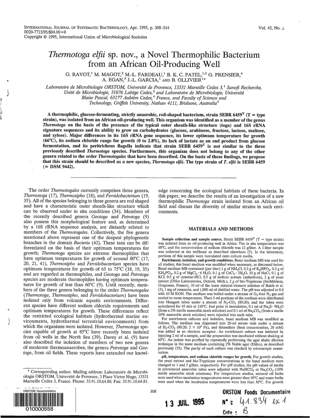 Thermotoga Elfii Sp. Nov., a Novel Thermophilic Bacterium from An