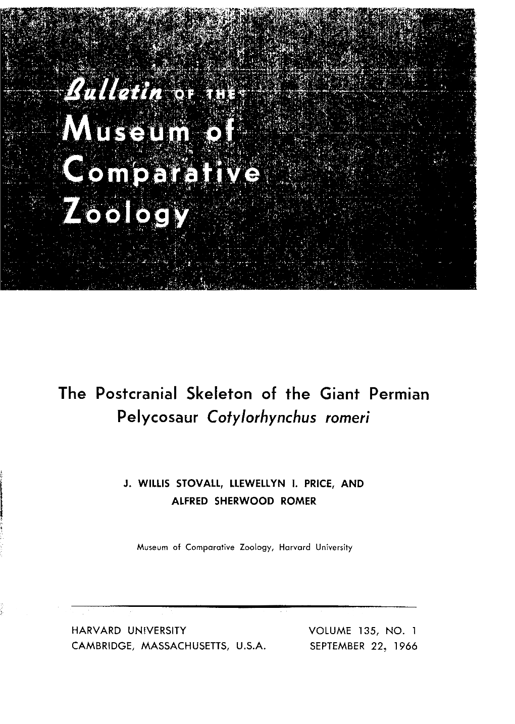 The Postcranial Skeleton of the Giant Permian Pelycosaur Cotylorhynchus Romeri