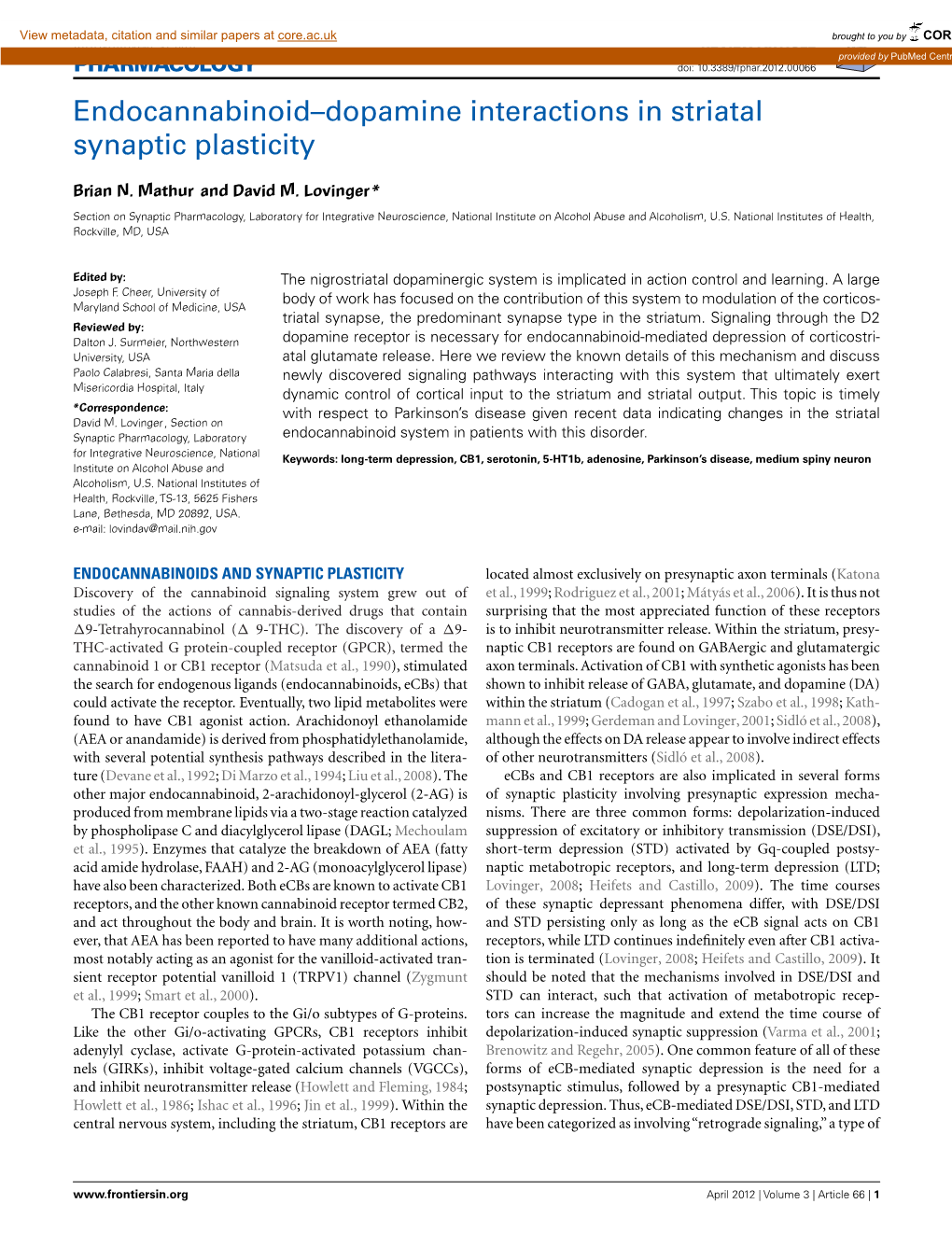 Endocannabinoid–Dopamine Interactions in Striatal Synaptic Plasticity