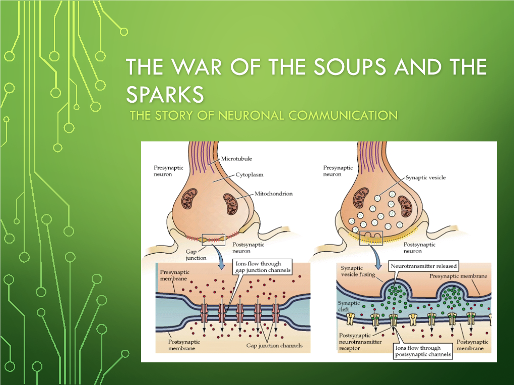 The War of the Soups and the Sparks