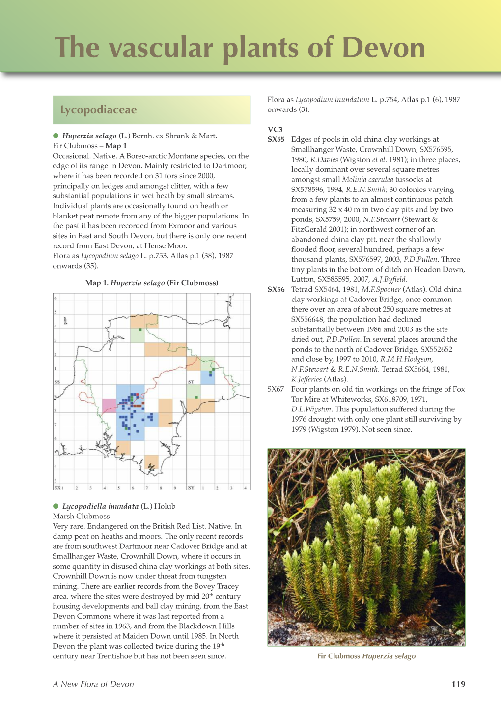 The Vascular Plants of Devon