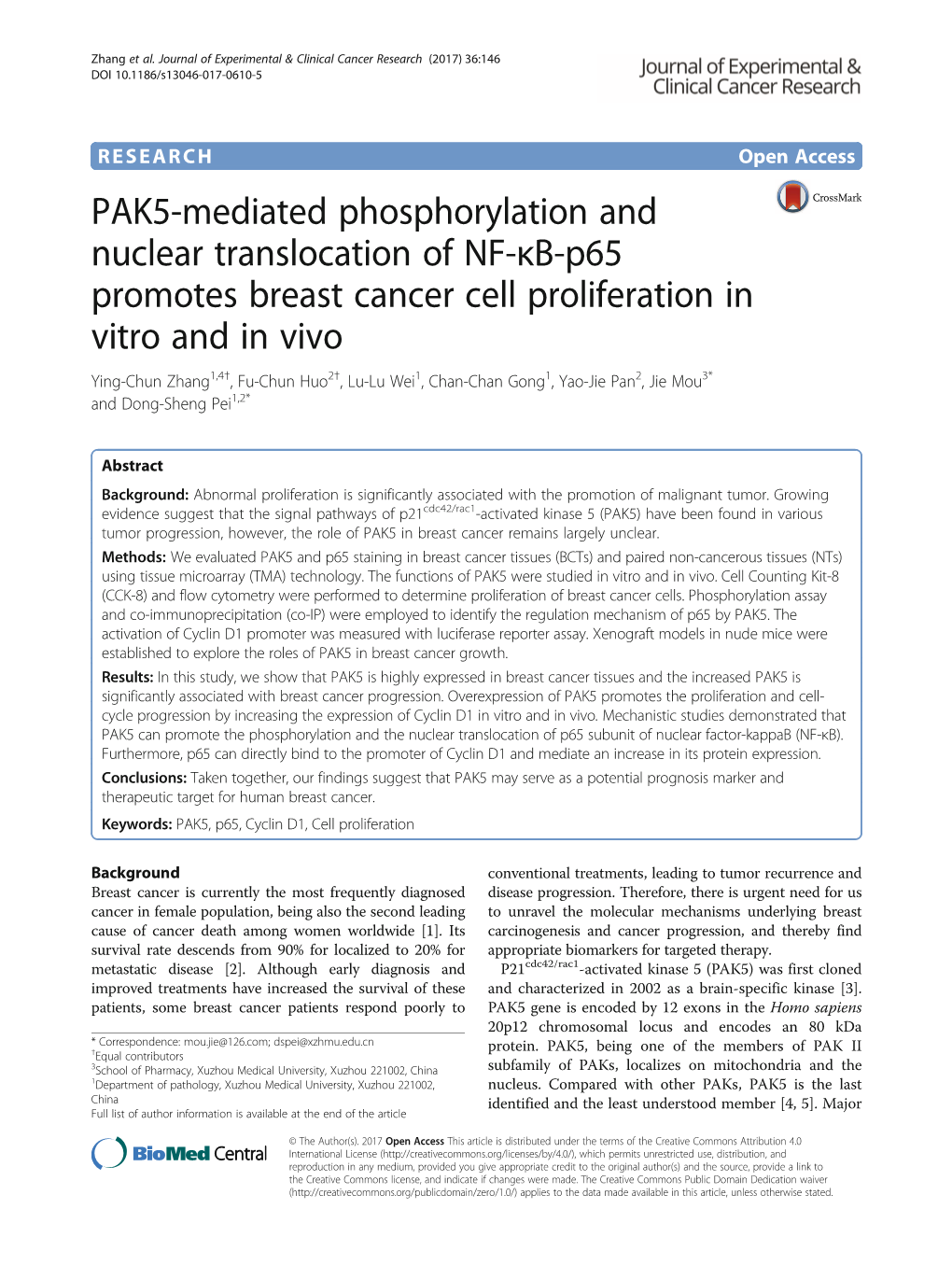 PAK5-Mediated Phosphorylation and Nuclear Translocation of NF-Κb-P65
