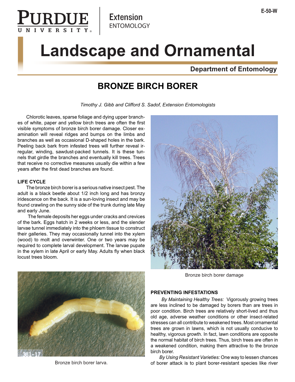 Landscape and Ornamental Department of Entomology