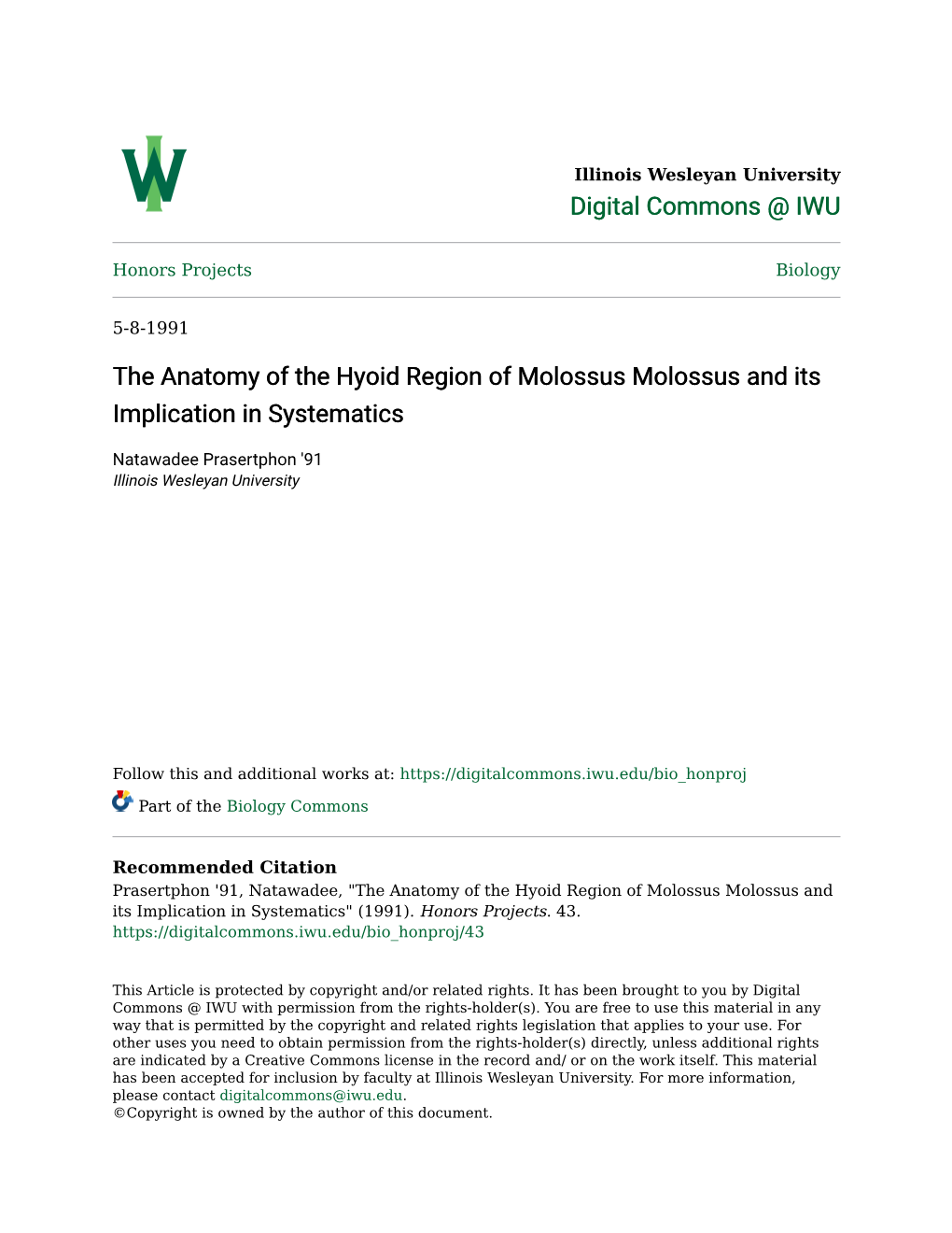 The Anatomy of the Hyoid Region of Molossus Molossus and Its Implication in Systematics