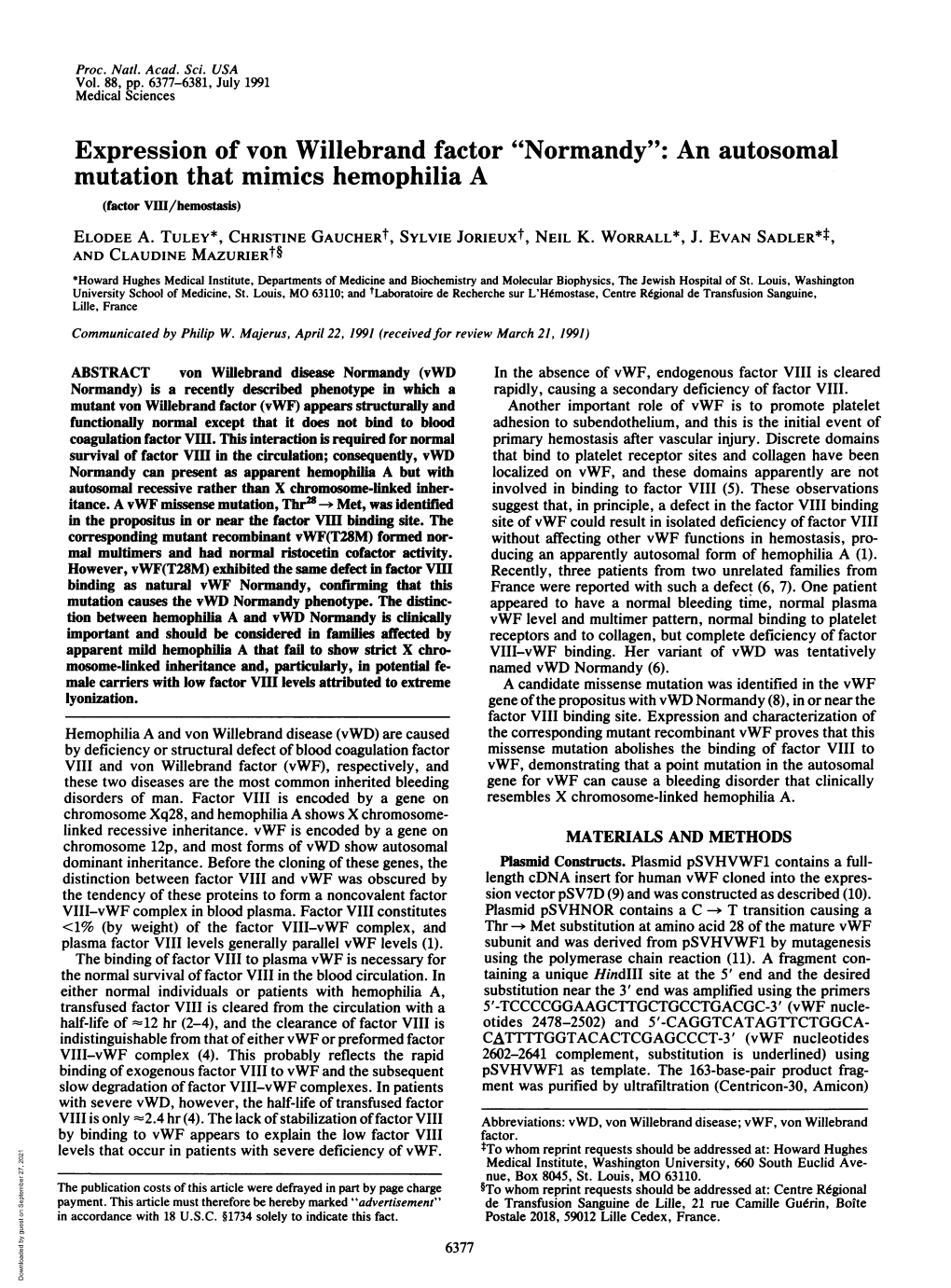 Expression of Von Willebrand Factor 