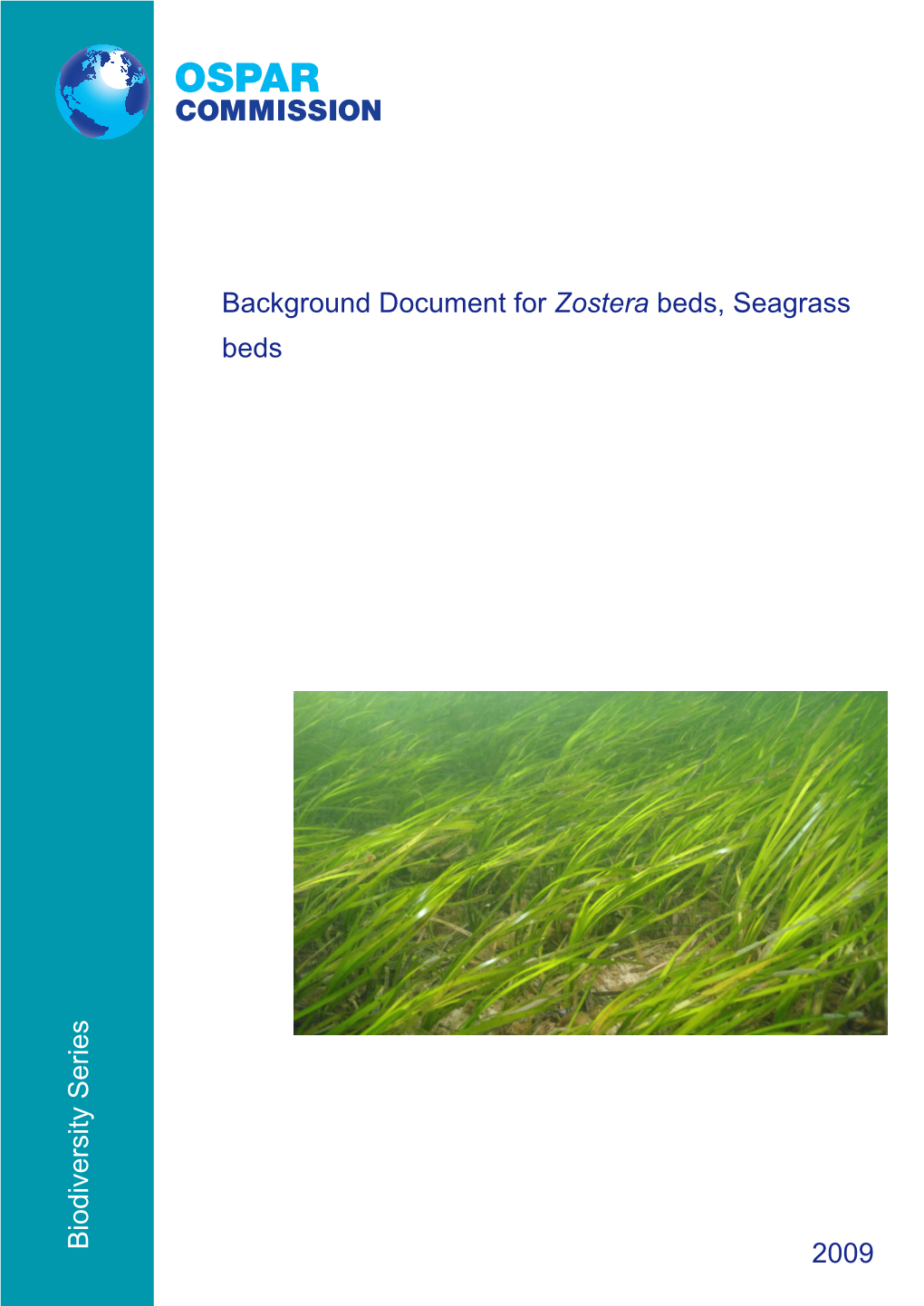 Zostera Beds