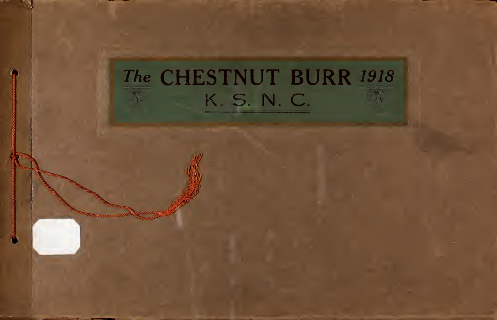 Chestnut Burr, 1918