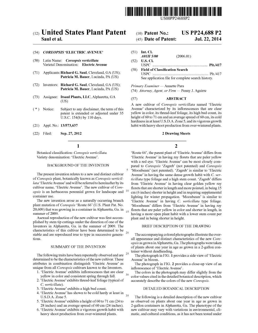 (12) United States Plant Patent (10) Patent No.: US PP24,688 P2 Saul Et Al