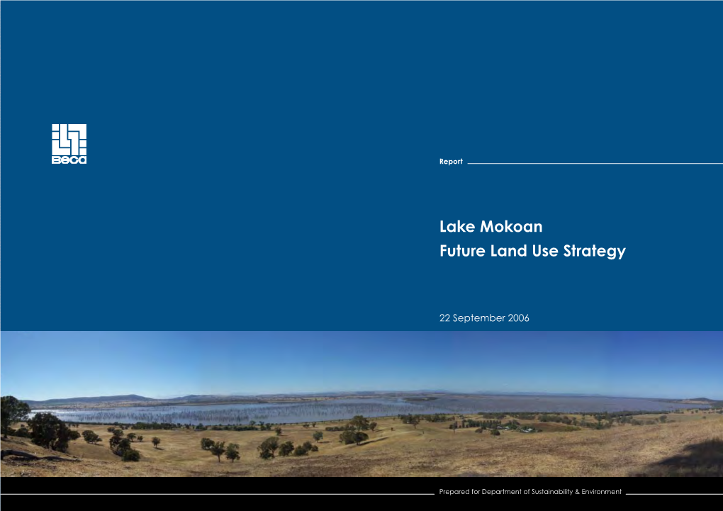 Lake Mokoan Future Land Use Strategy