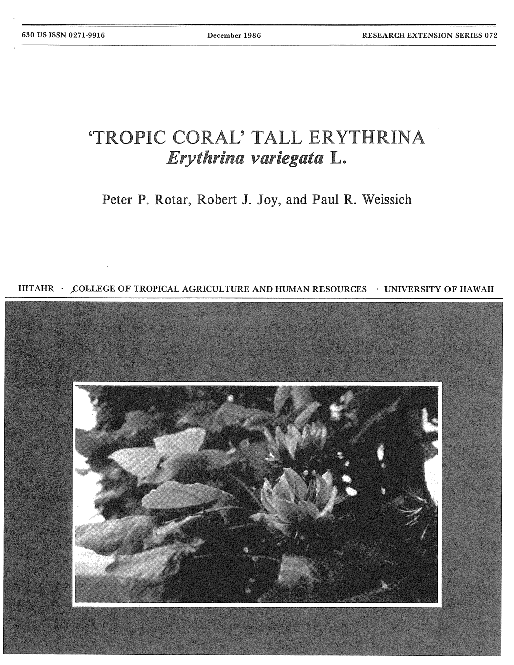 Tropic Coral Tall Erythrina (Erythrina Variegata
