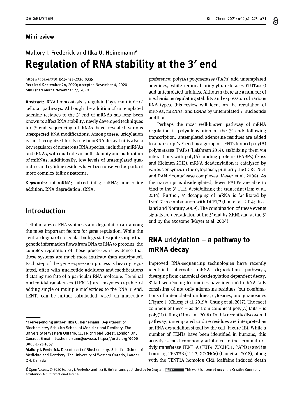 Regulation of RNA Stability at the 3′